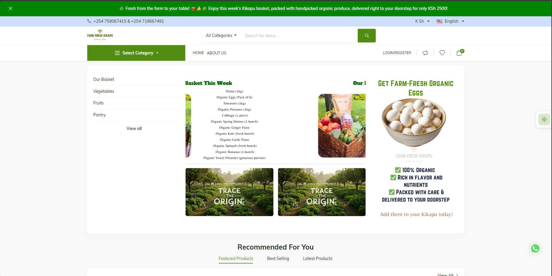 Project Screenshot 1